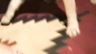 Caledonian - Shawns Anal Fest