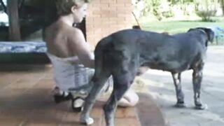 Caledonian - Back Yard Action