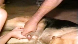 Laila Really Loves Dogs