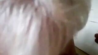 Very nice grandma suck cock