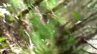 10 Inches of Outdoor Amateur Fun