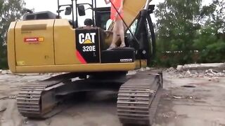 Magersüchtige deutsche Amateurin wird auf einer Planierraupe gefickt