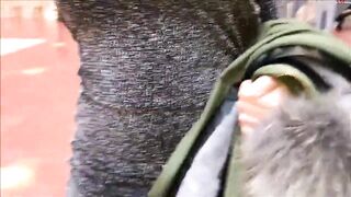 Deutsch Amateur Milf Public Creampie Orgasmus