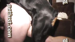 Hard On Tyson Dog Fuck Gays