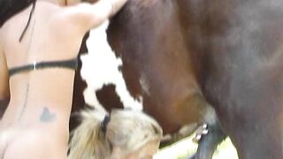 Milly And Latifa Suck Horse