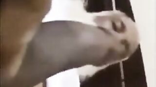 old Arab playing with her dick