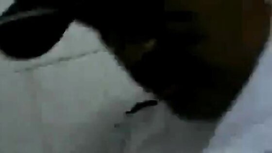 Filmou caminhoneiro trocando oleo no banheiro