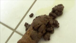 bizarropornos.com - Bathroom Poop